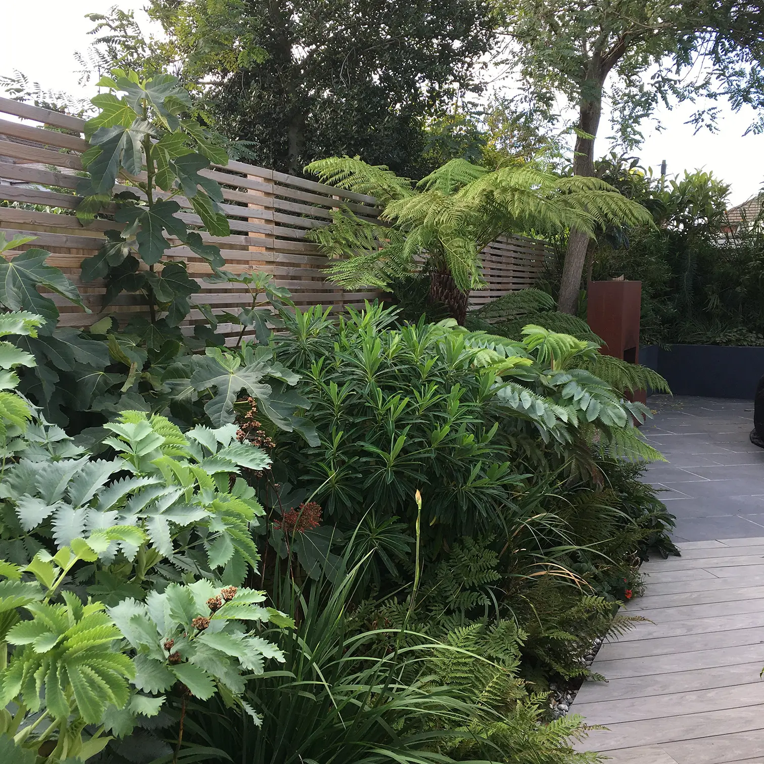 Lush garden with various plants and shrubs alongside a wooden pathway, creating a serene outdoor space.