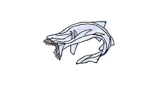 A curled-up shark in ink line with its jaws open, shark drawing by max13_riggs