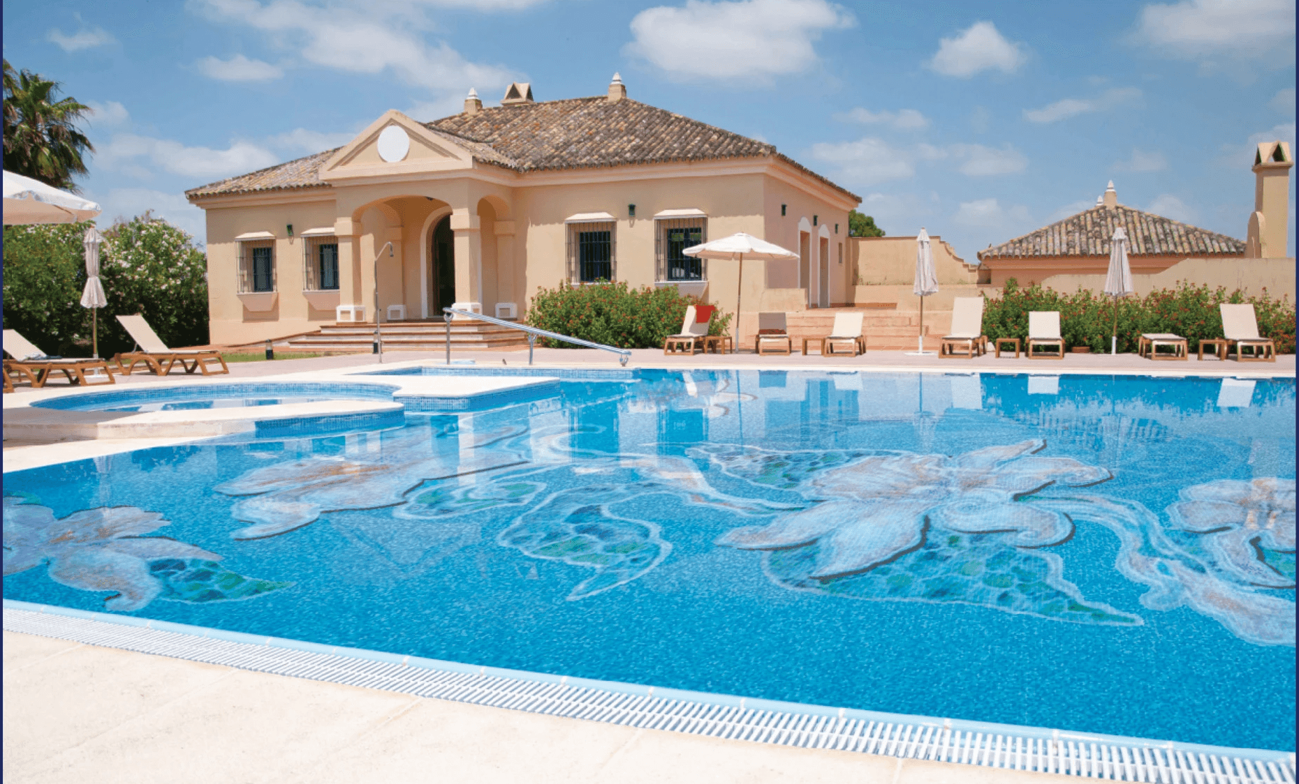 Hands pinning photographs on a white wall