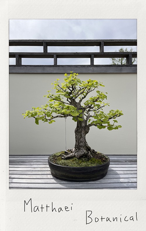 Park Polaroid - My Dao Designer Portfolio