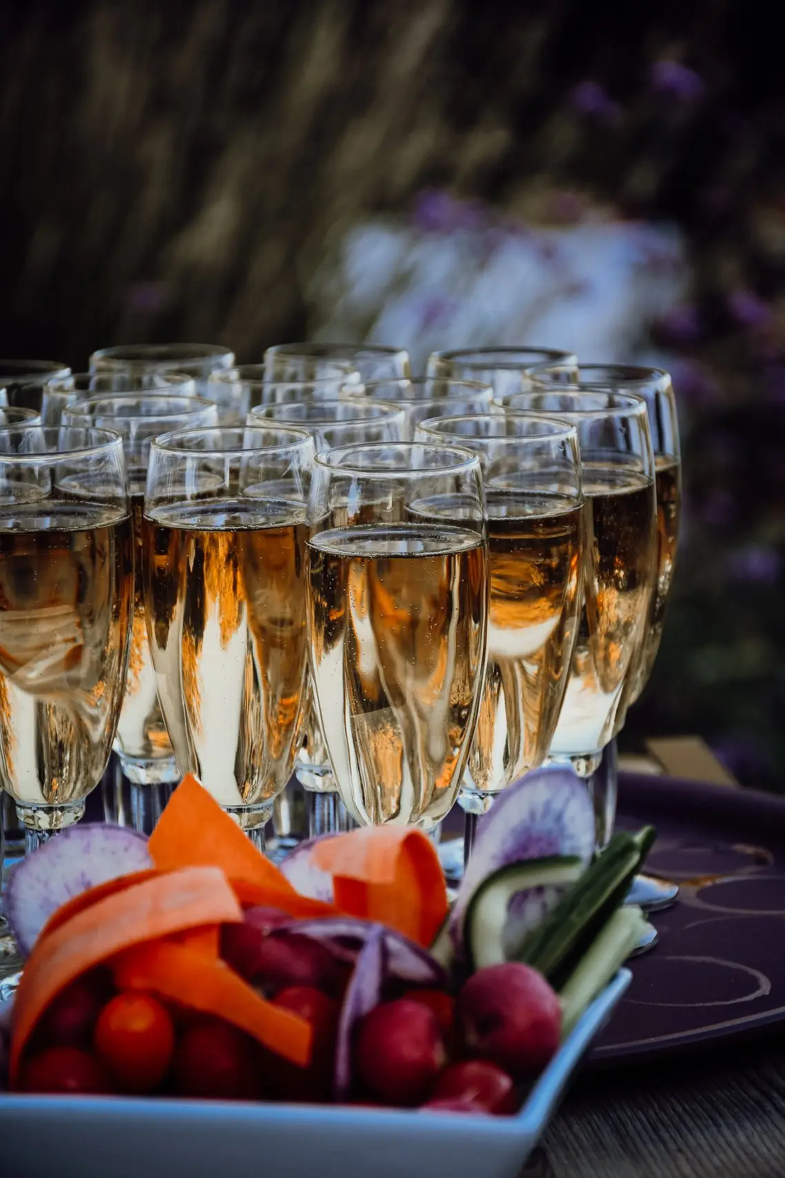 A serene pathway lined with trees leads to a distant building, bathed in warm sunlight.