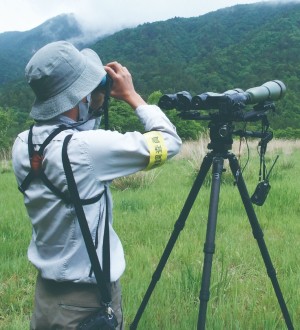 特定非営利活動法人 野生生物調査協会