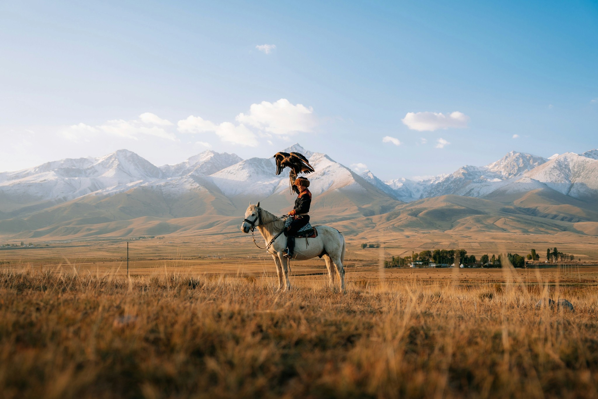 Scène de fauconnerie traditionnelle à cheval : image immersive pour illustrer des expériences de voyage authentiques sur mesure.