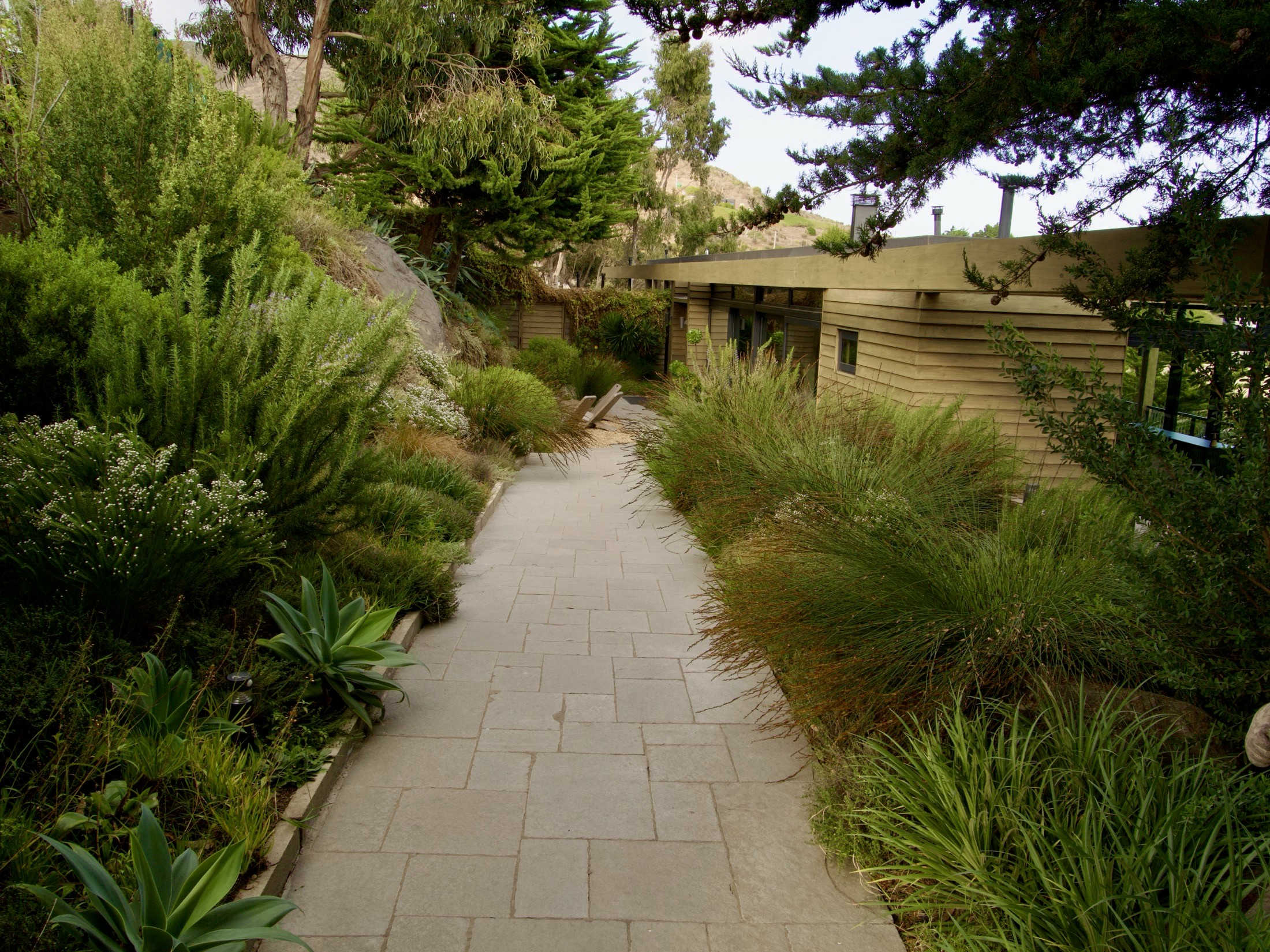 Carola Page Punta Pite Casa Nico