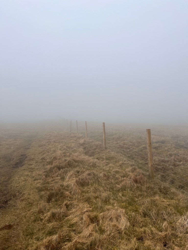 The fence we followed in the fog leading up to Branstree Fell. Wooden poles with a wire mesh. Half the image is hidden in fog.