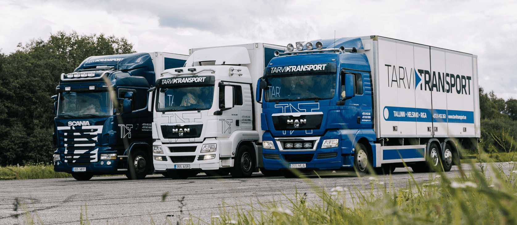 Three Tarvi Transport trucks parked side by side
