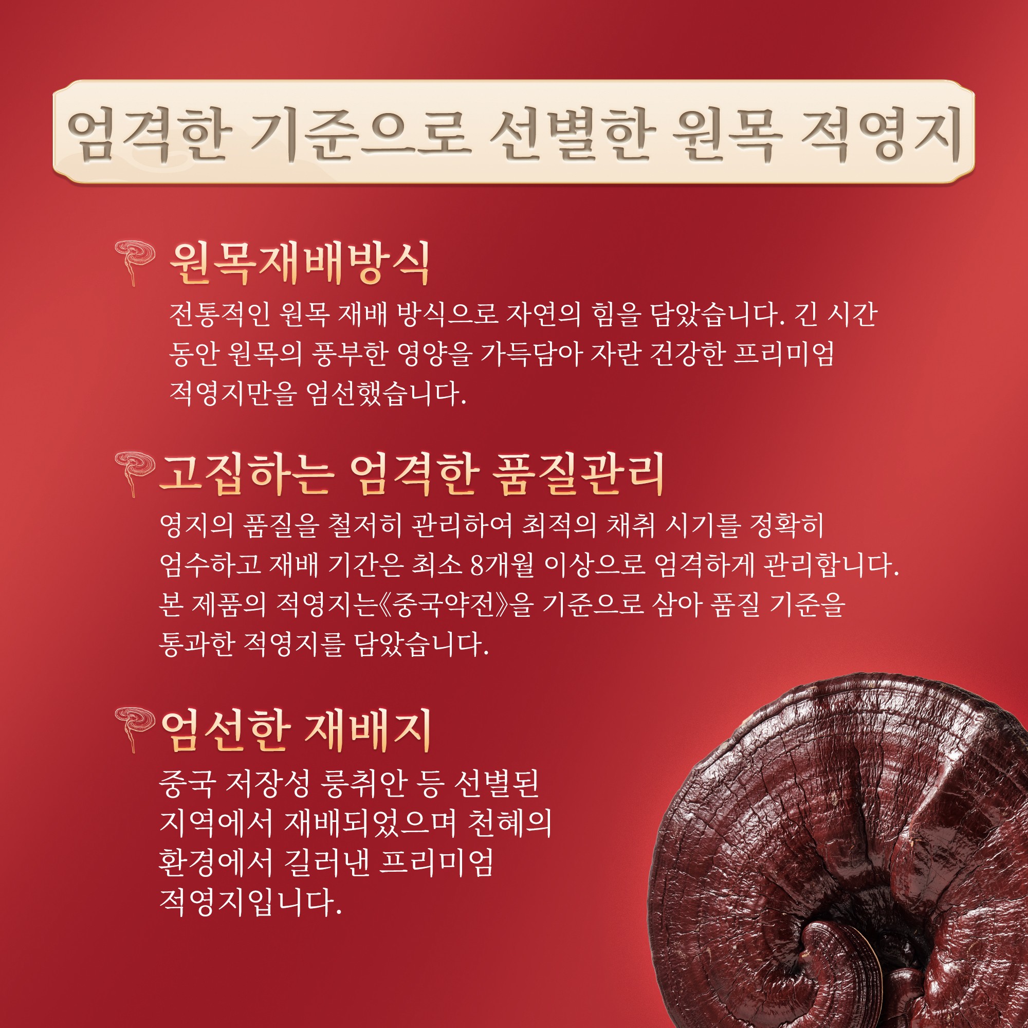 灵芝皇