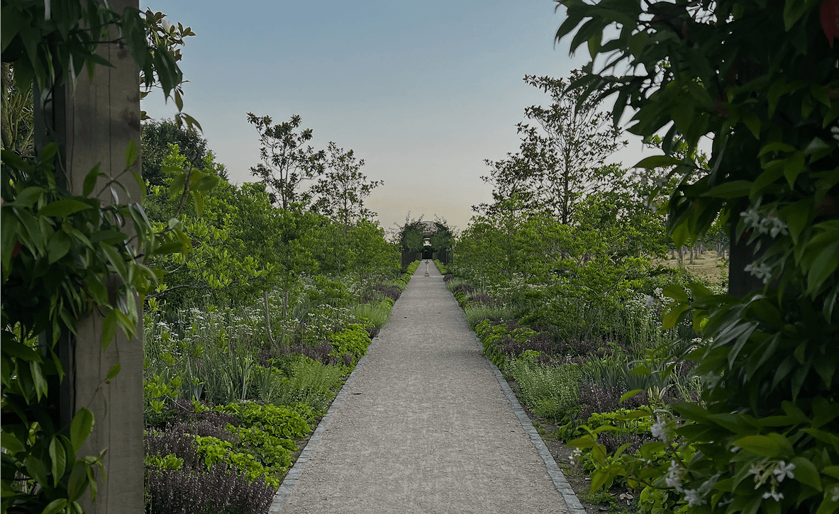 Dynamic picture of a cyclist riding downhill