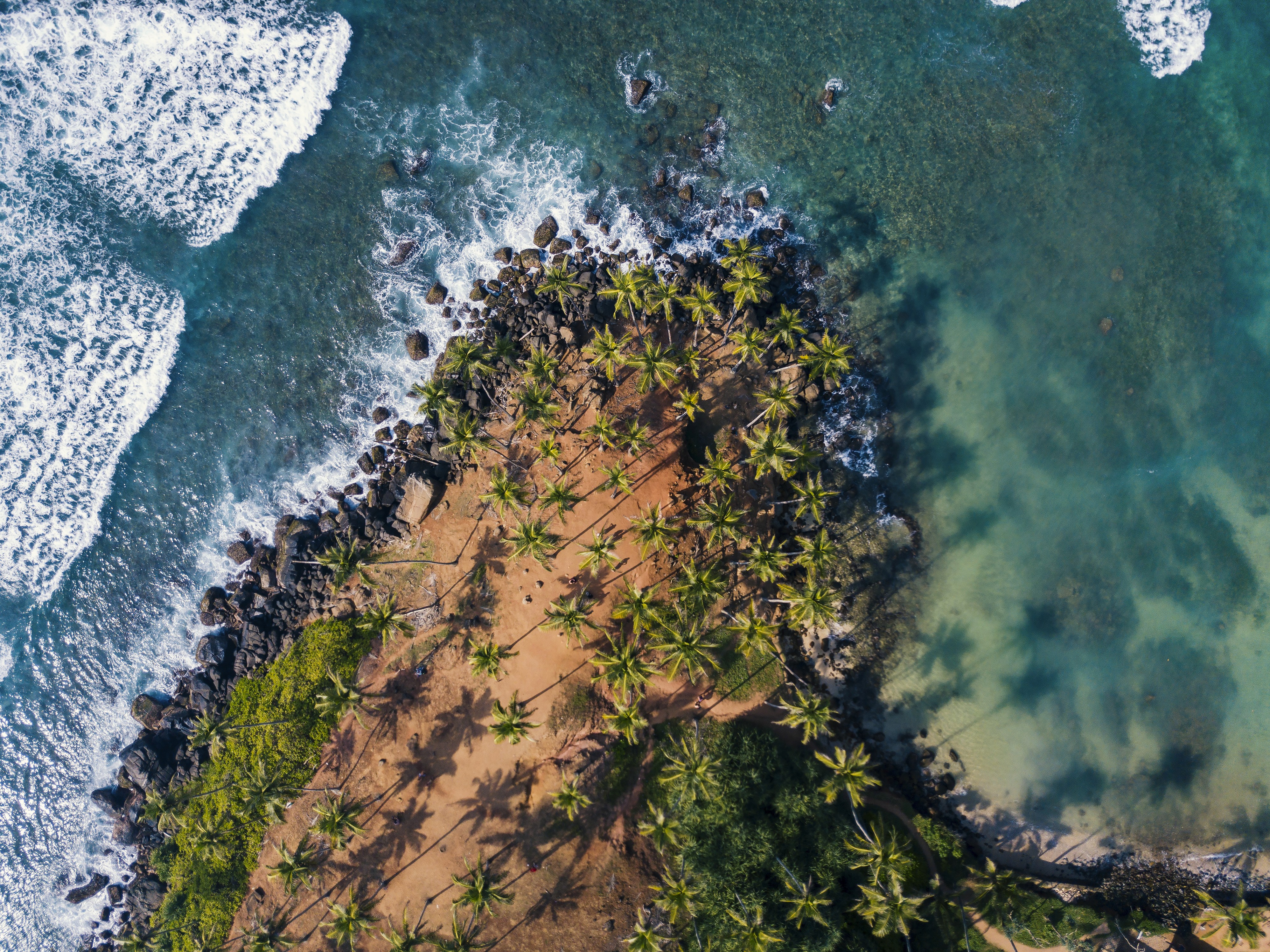 photo of brown bench near swimming pool