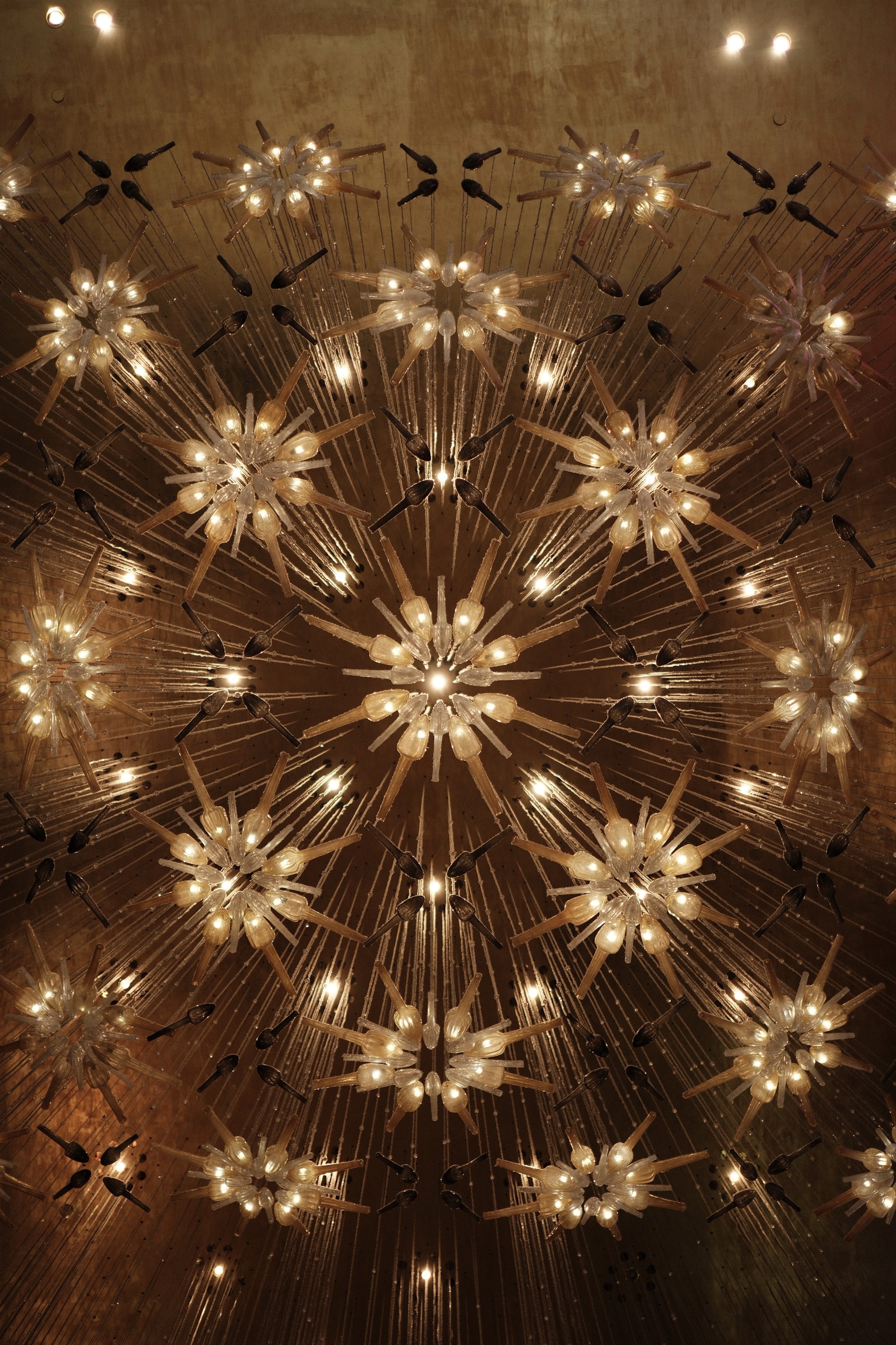 Girl with glasses look up