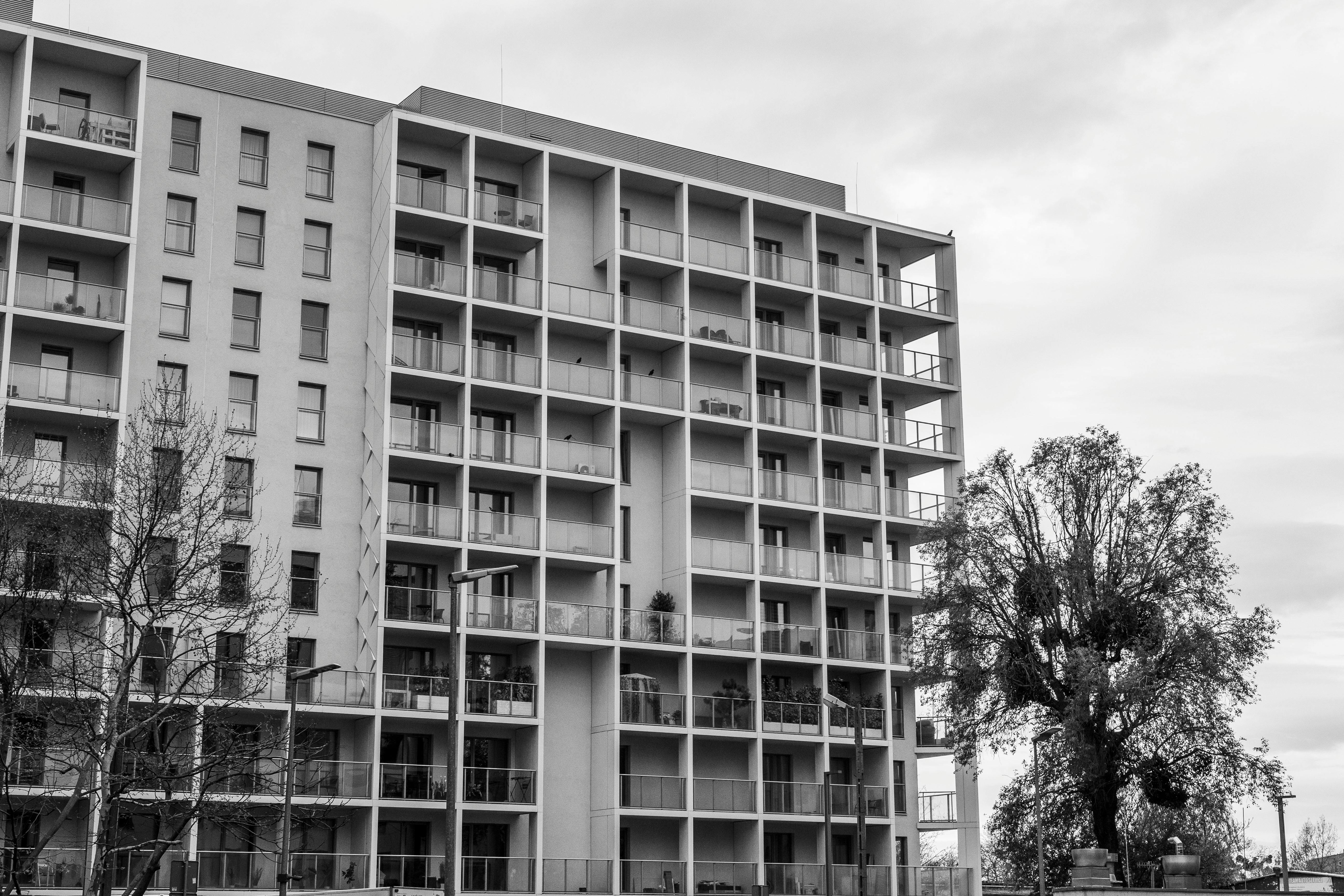 Black and white image of a modern apartment building with multiple balconies, adjacent to a large tree. The sky appears overcast, conveying a calm tone.
