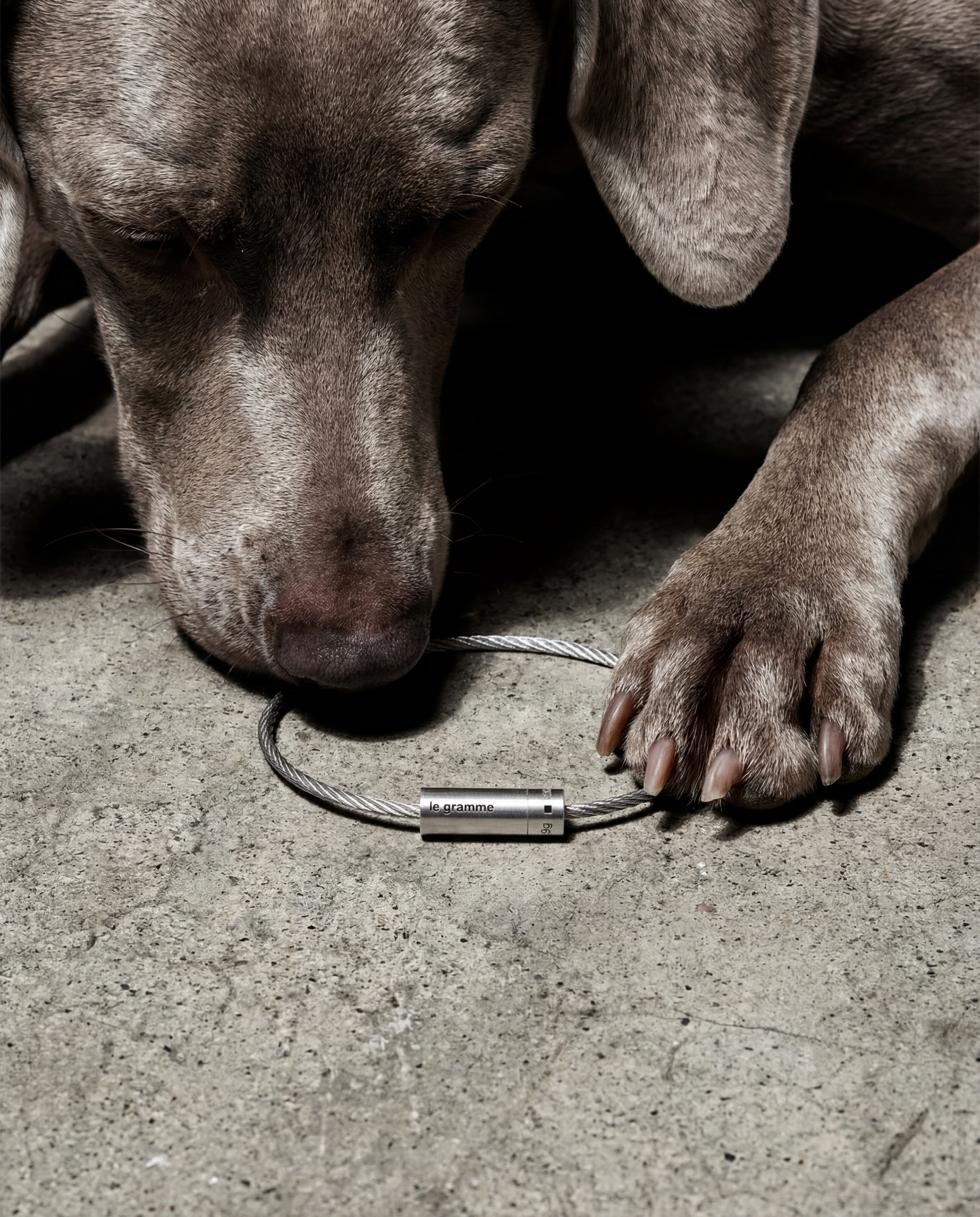 Synthetic organic tissue synthesis, High-fidelity follicle rendering, Contrast against cold metal, Biological Visual System, Engineered by Aventi