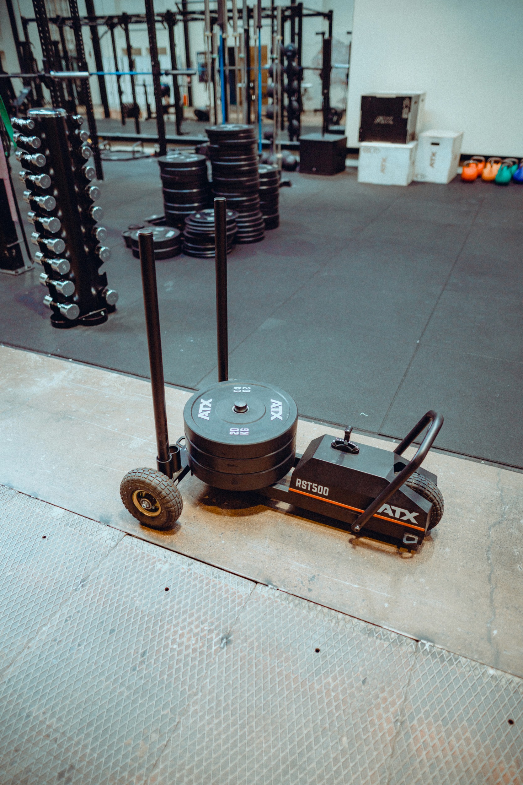 Push sled