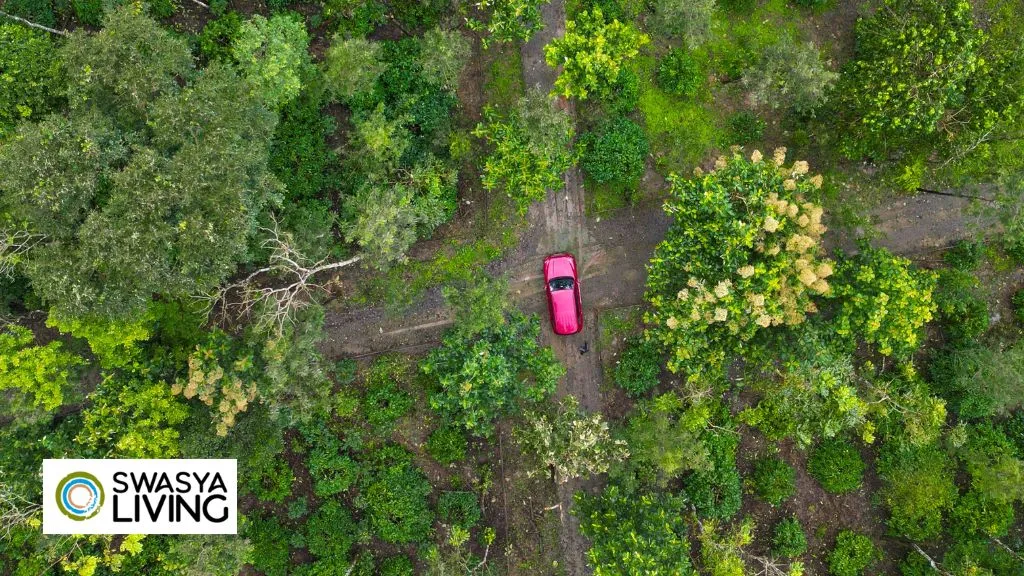 Advantages & Disadvantages of Green Revolution