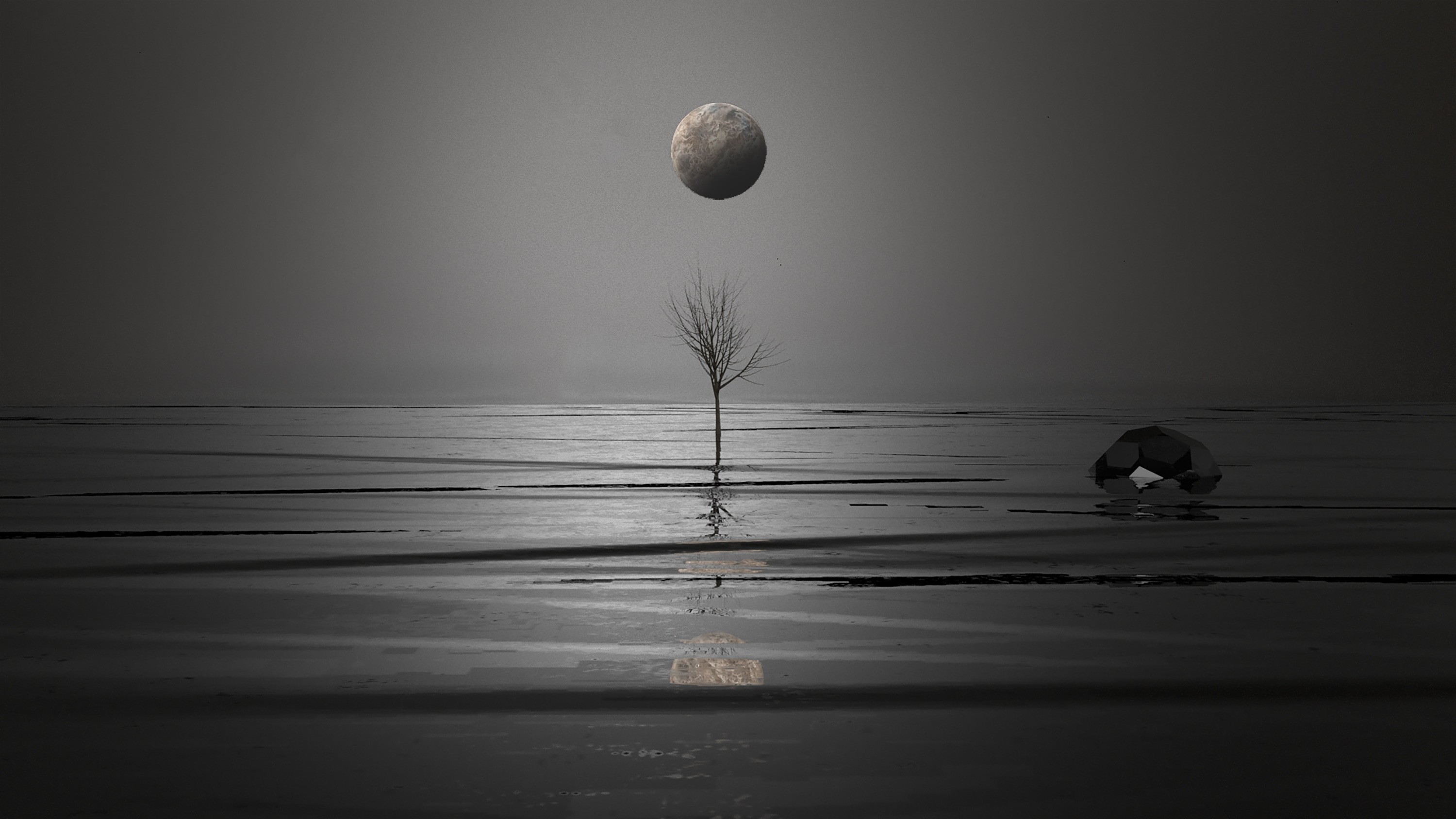 the homepage image  of conscious page webiste