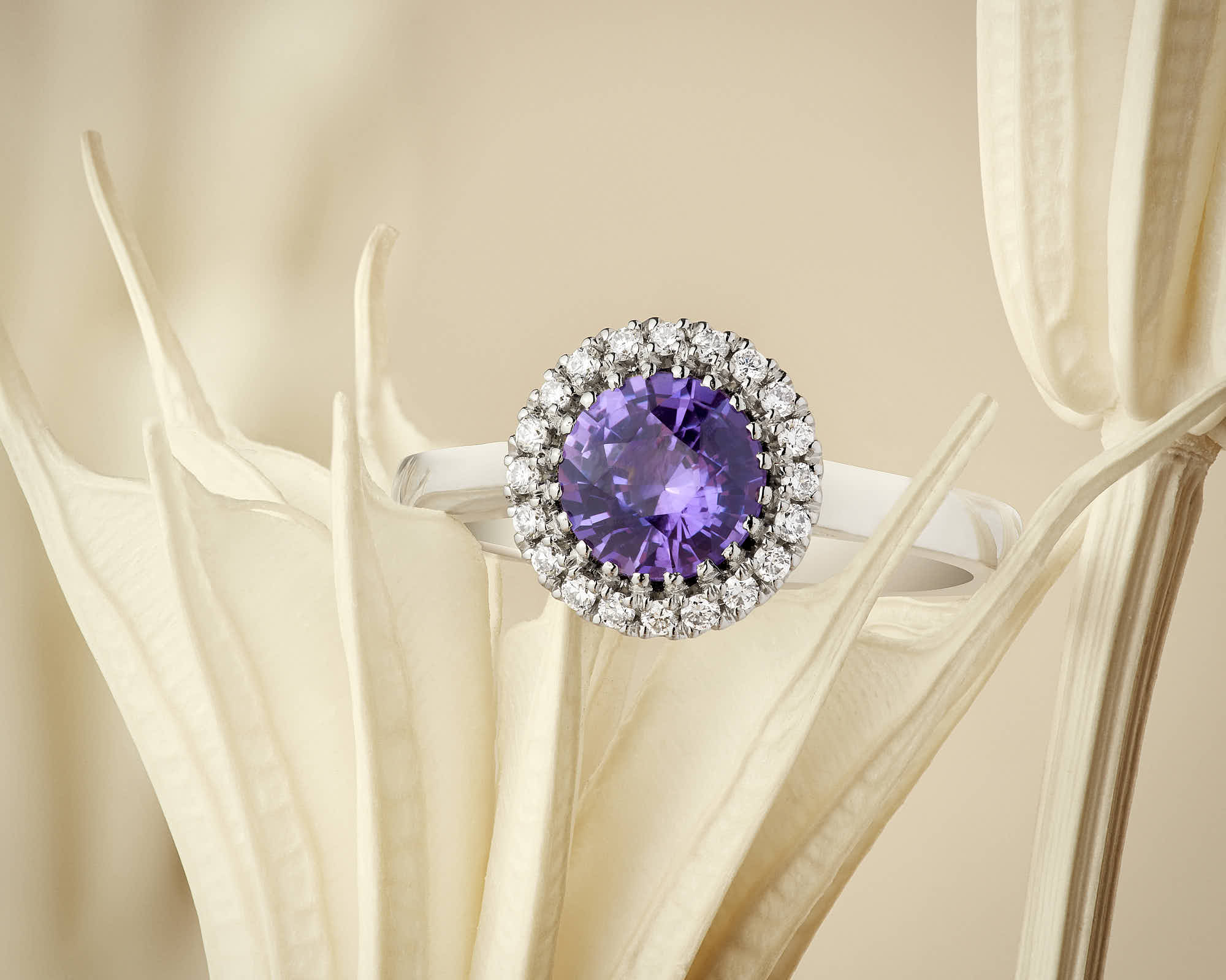 Elegant halo amethyst ring with diamond accents on dried flower petals.