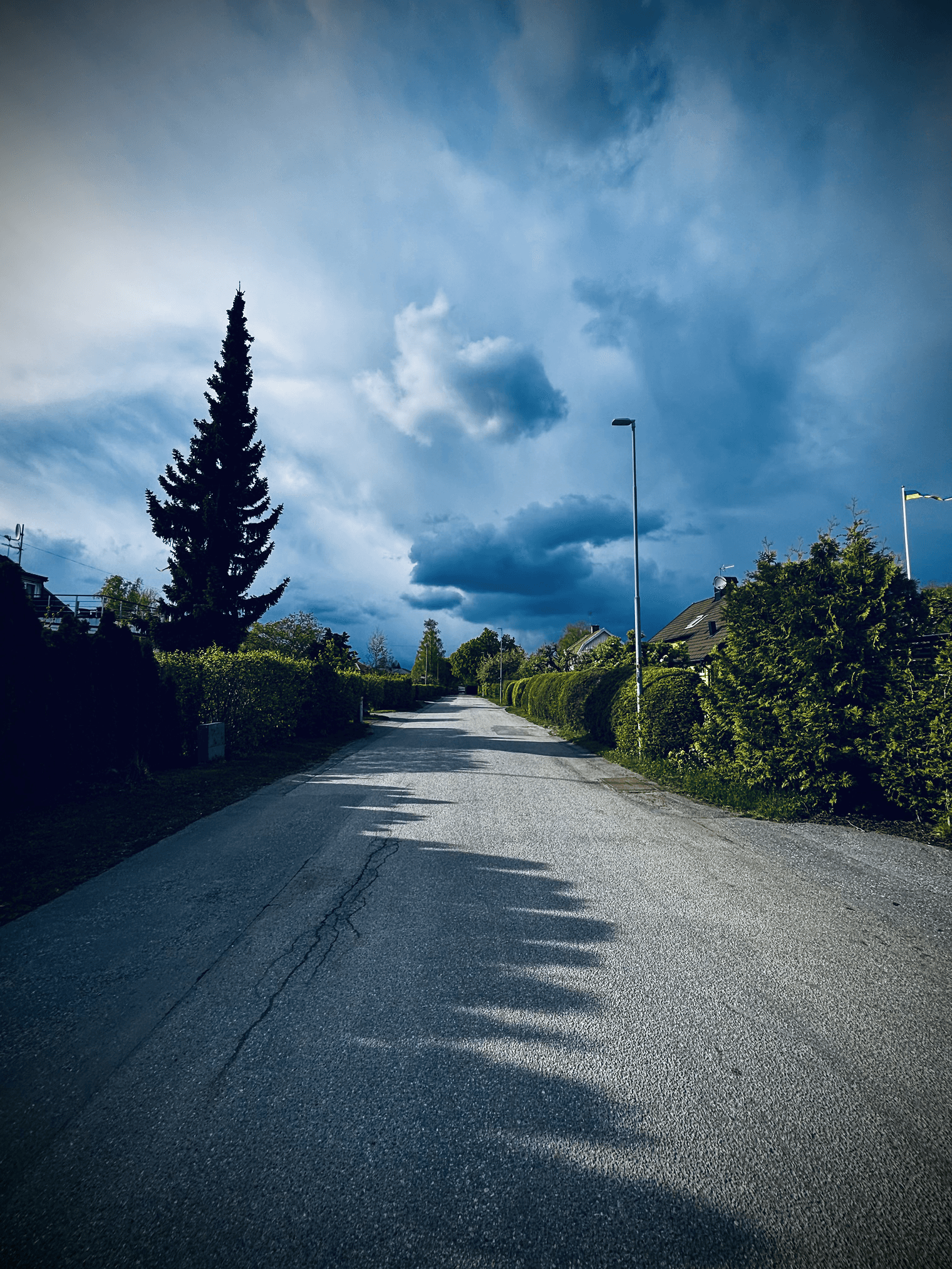 Scenery