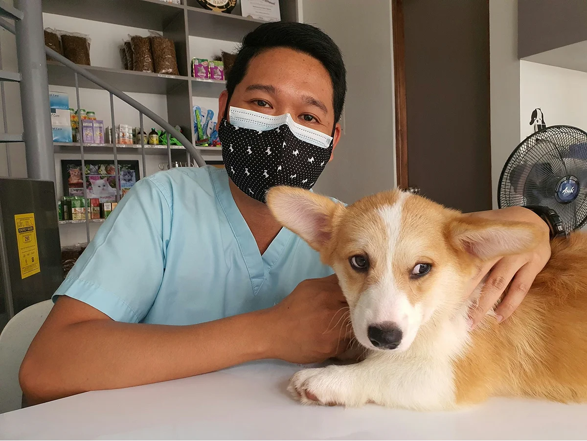 Pet shop staff member with a tan-and-white puppy at the counter