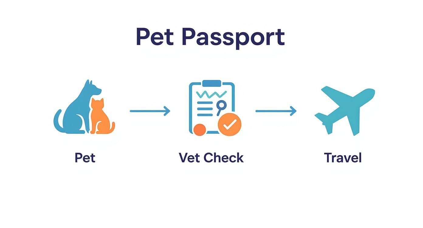 Infographic about pet health certificates
