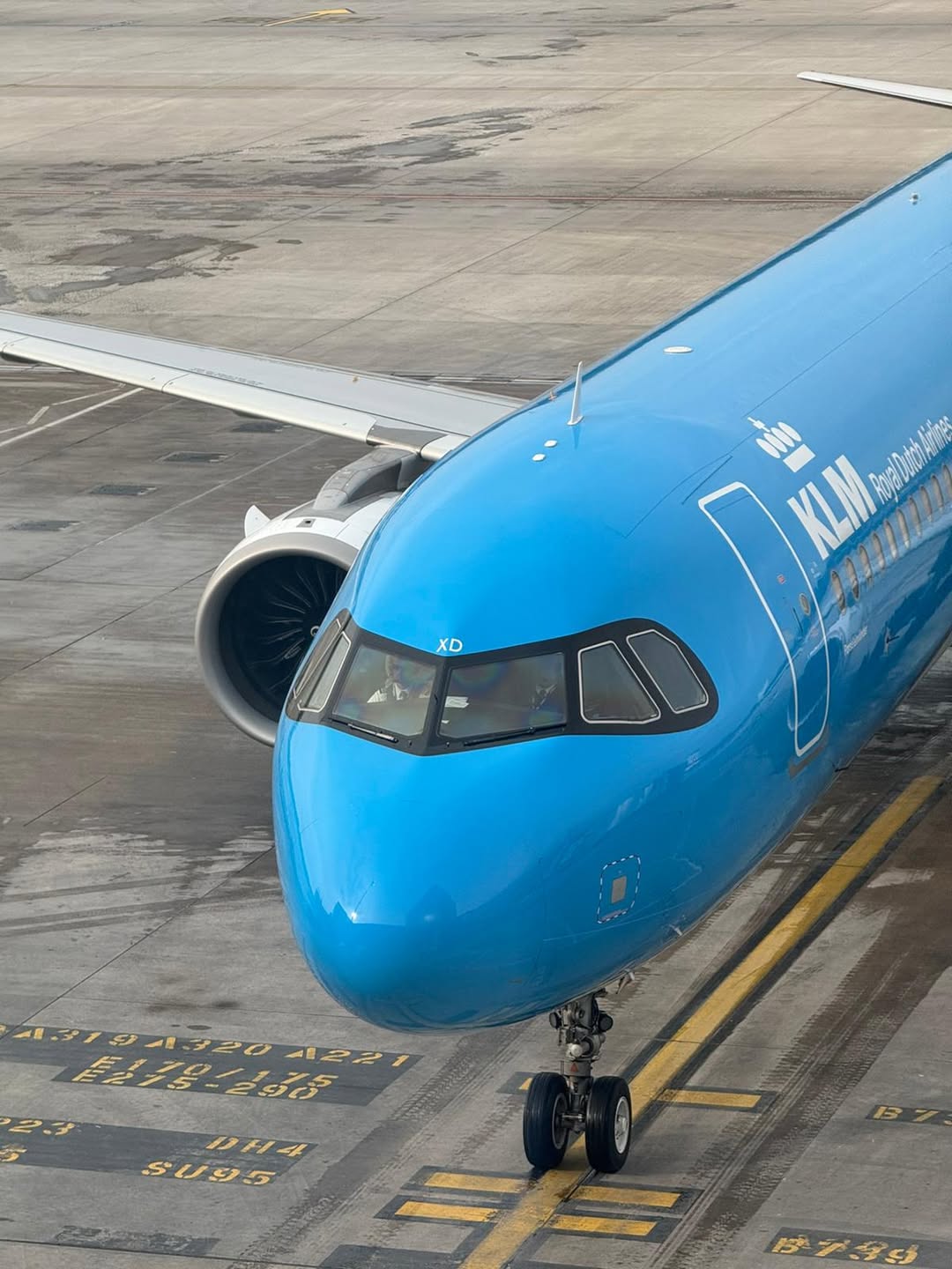 FAQ Friday: Traveling Abroad for Spring Break? Read This First.