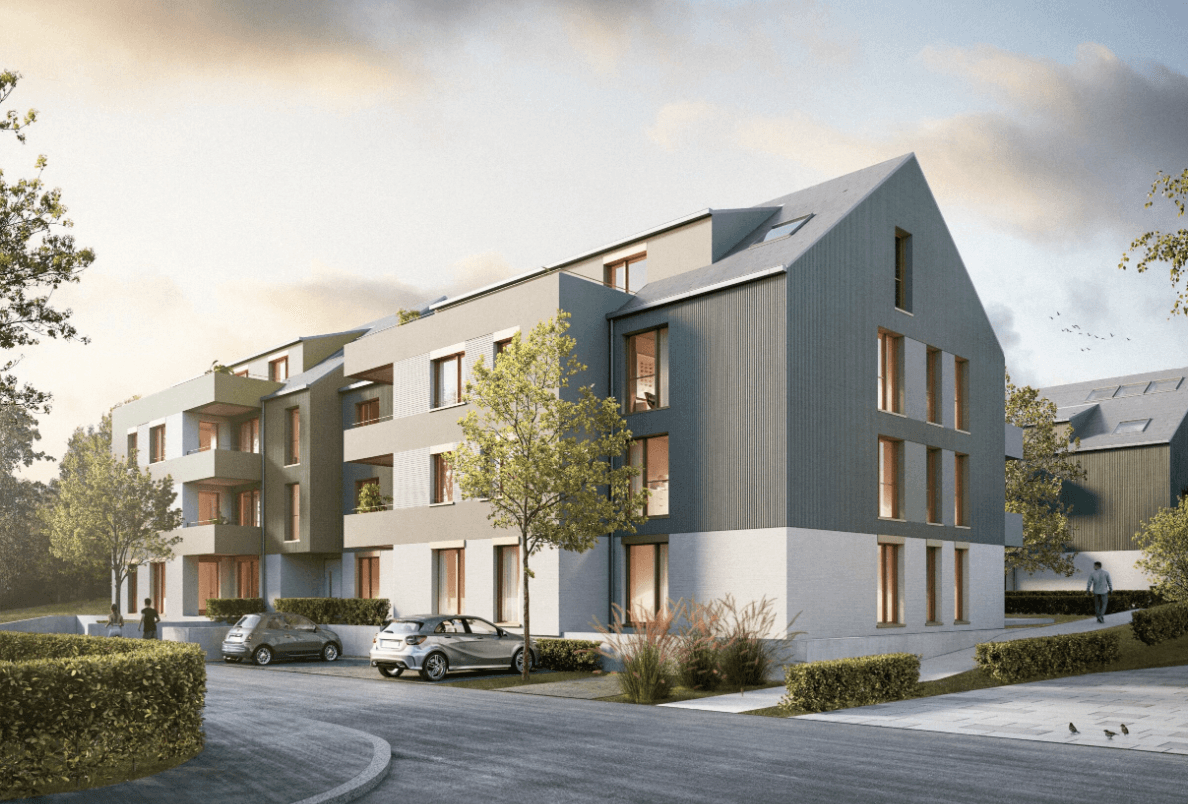 Image of a renovated kitchen