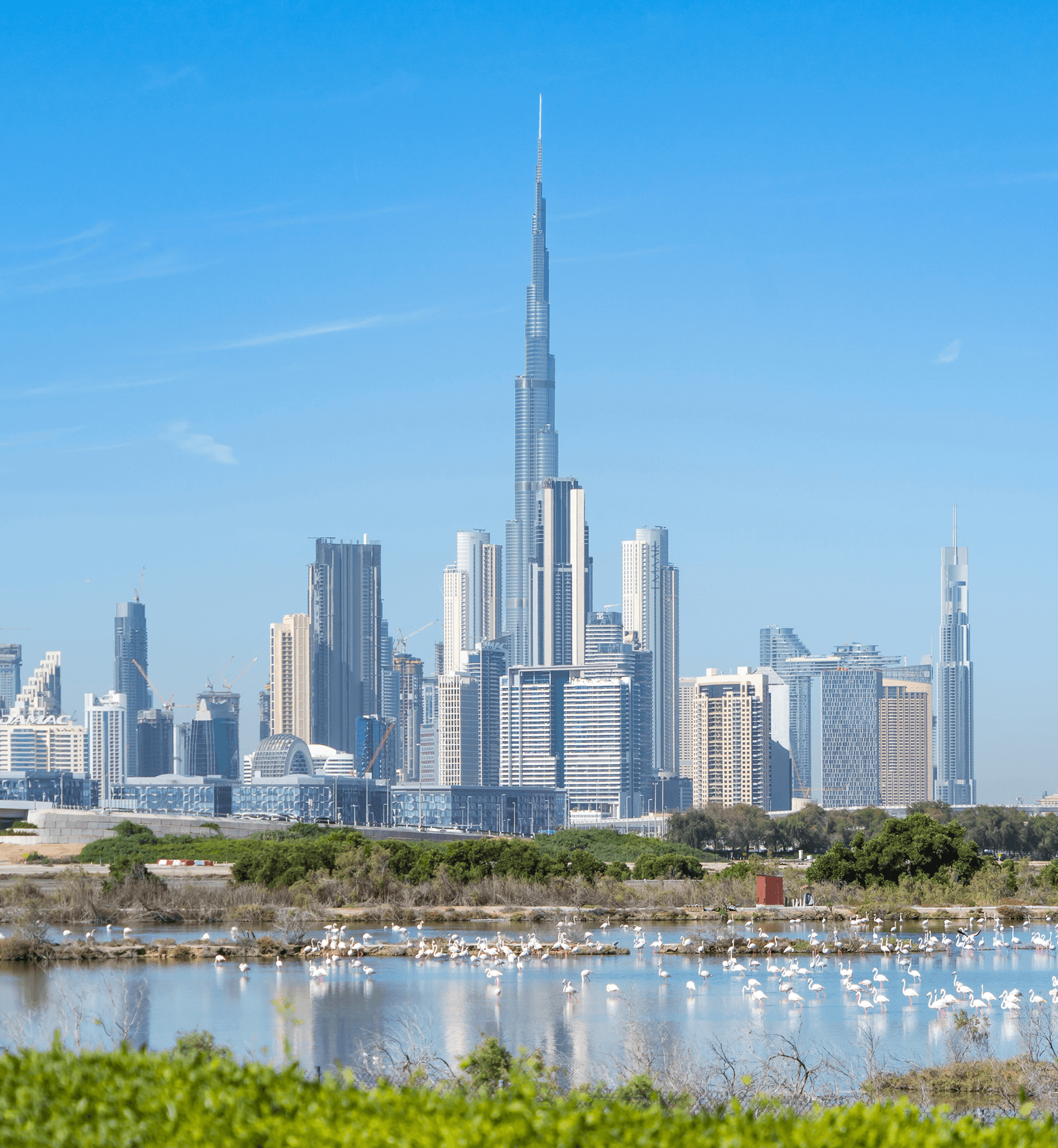 City skyline with a tall central skyscraper overlooking a lagoon filled with flamingos.