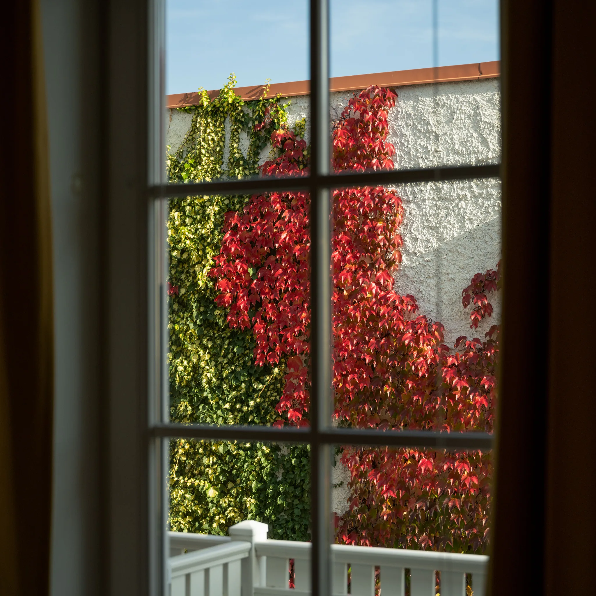 Winzerhotel Gumpoldskirchen – PKNY Pictures