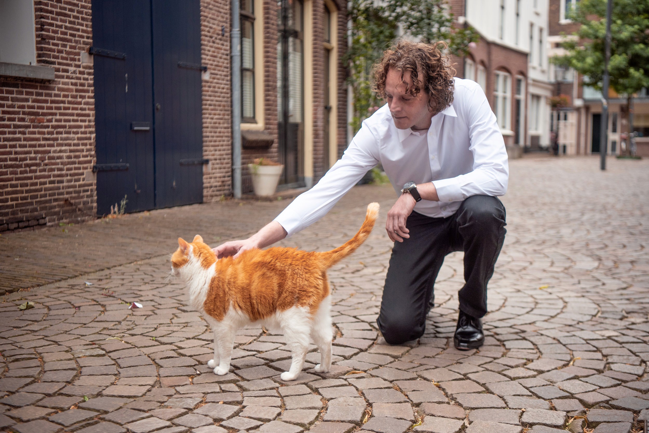 World componet Framer