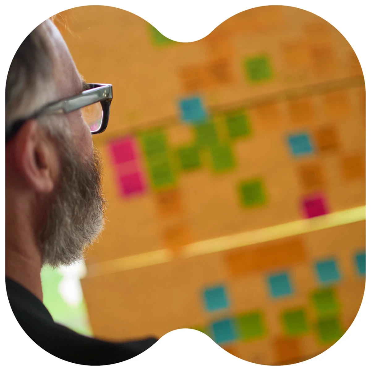 A photo of the side profile of a man with a beard and glasses, he is looking at yellow boards covered in colourful post it notes