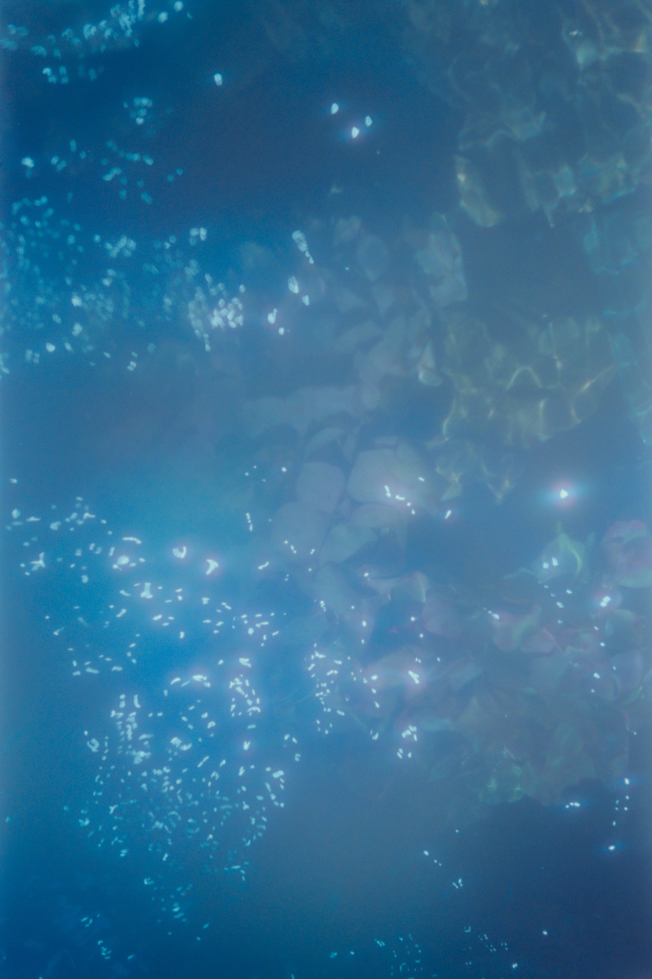 Taisei Matsumoto, 2023 exhibition work 035