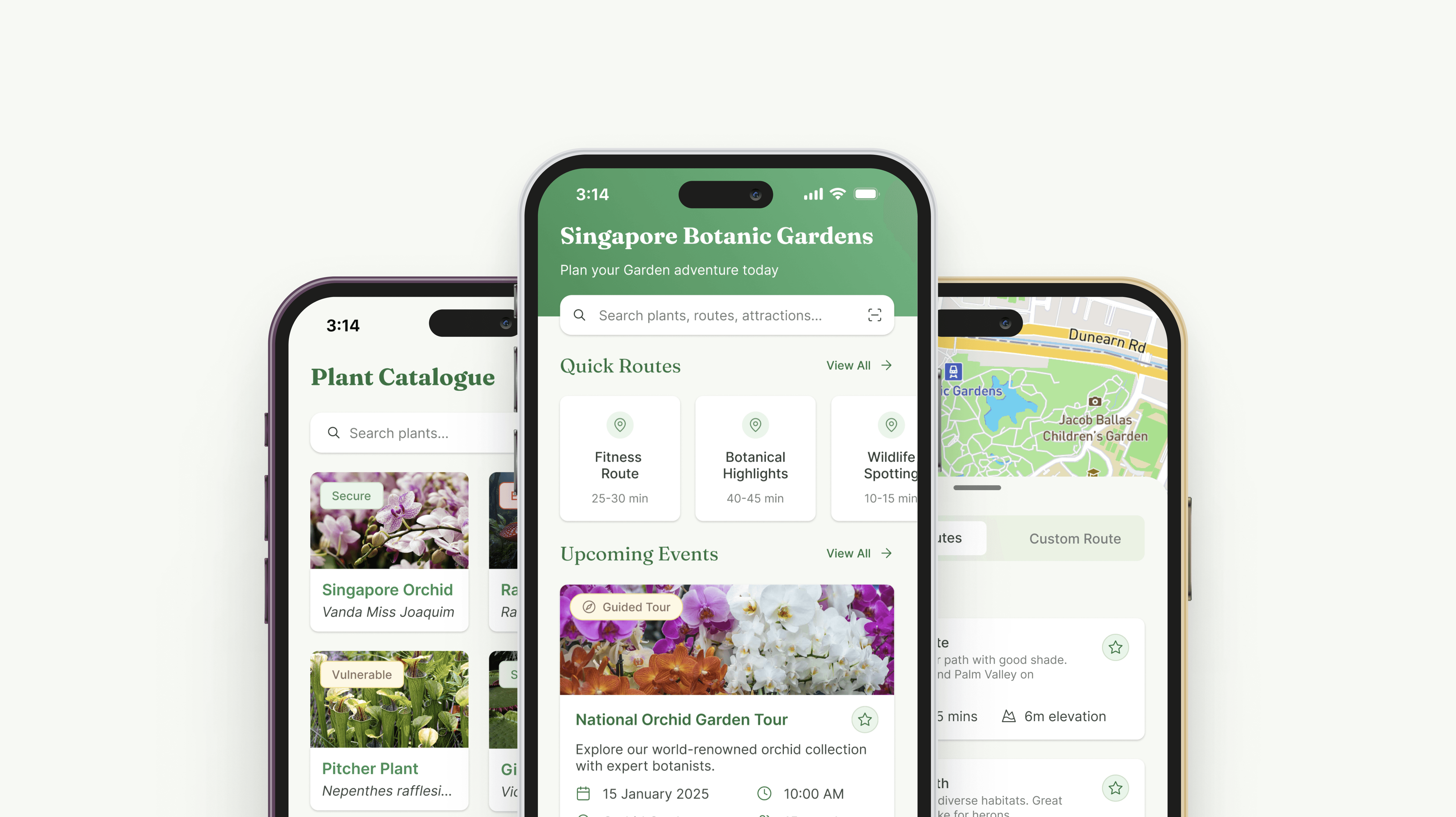 Singapore Botanic Gardens