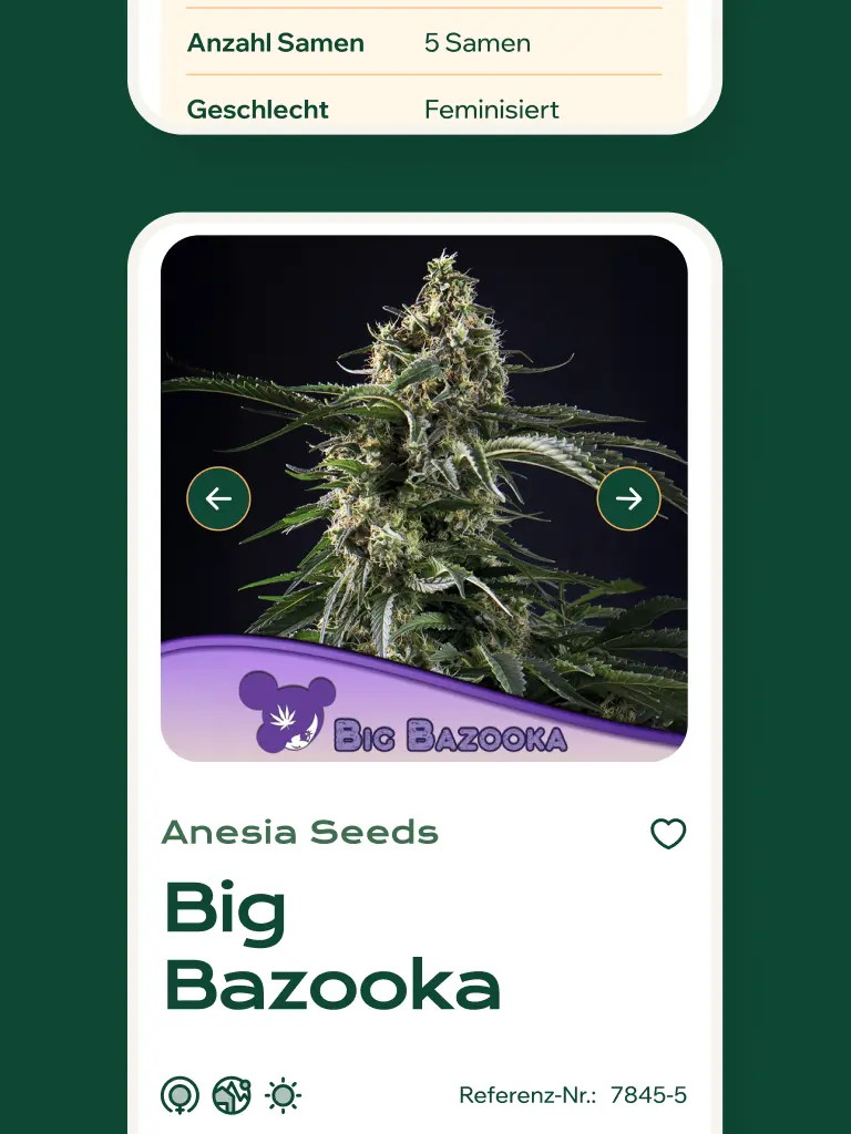 Kundin zeigt auf dem Tablet die SAKD Website