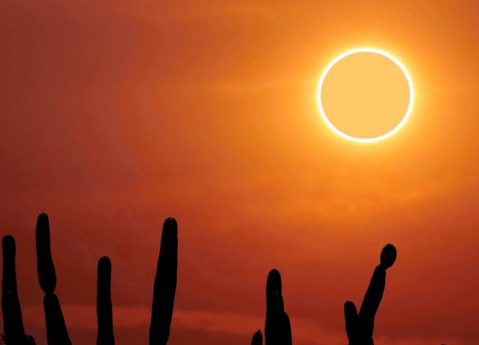 Illustration graphique d'une éclipse solaire - Thème visuel du festival.