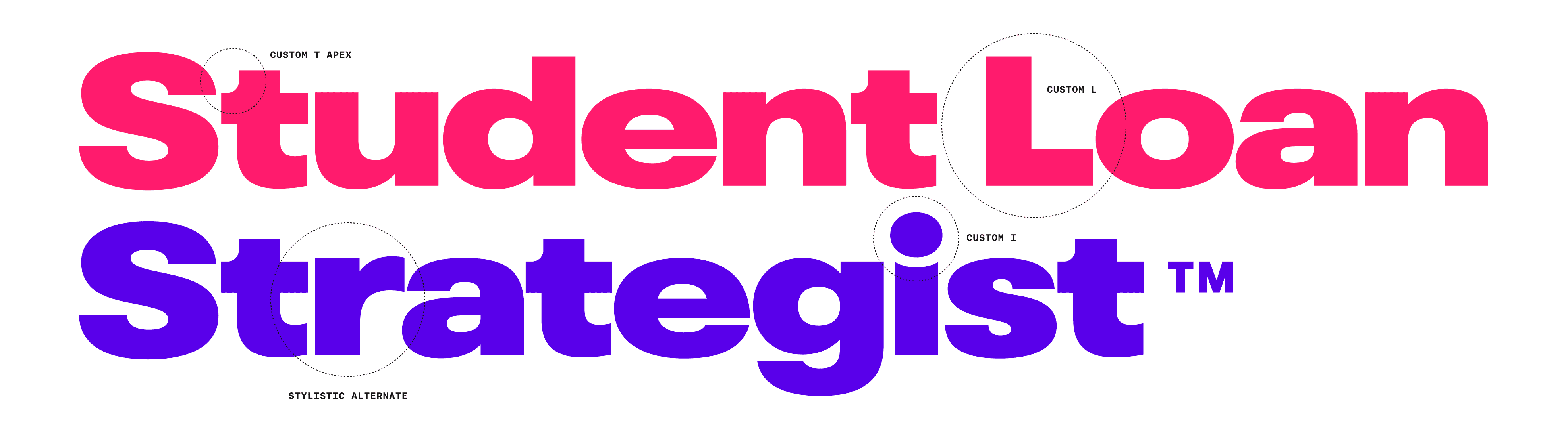 Student Loan Strategist  logo - custom wordmark.
