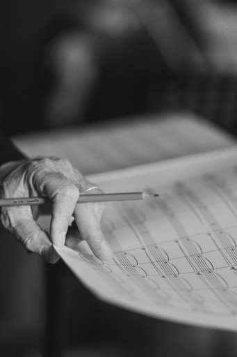 Norman Ludwin Conducting Bullstrings