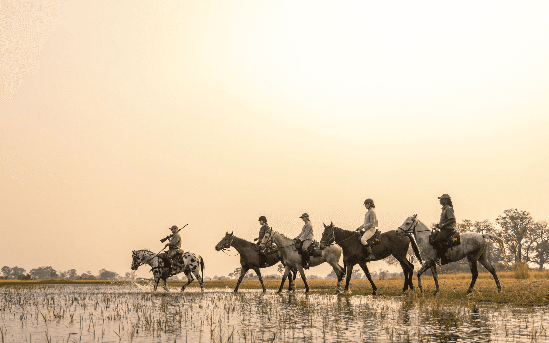 Kujwana Delta Ride. En grupp ryttare till häst på ridsafari korsar grunt vatten i solnedgången i Okavango Delta – en drömlik ridresa i Botswana, Afrika.