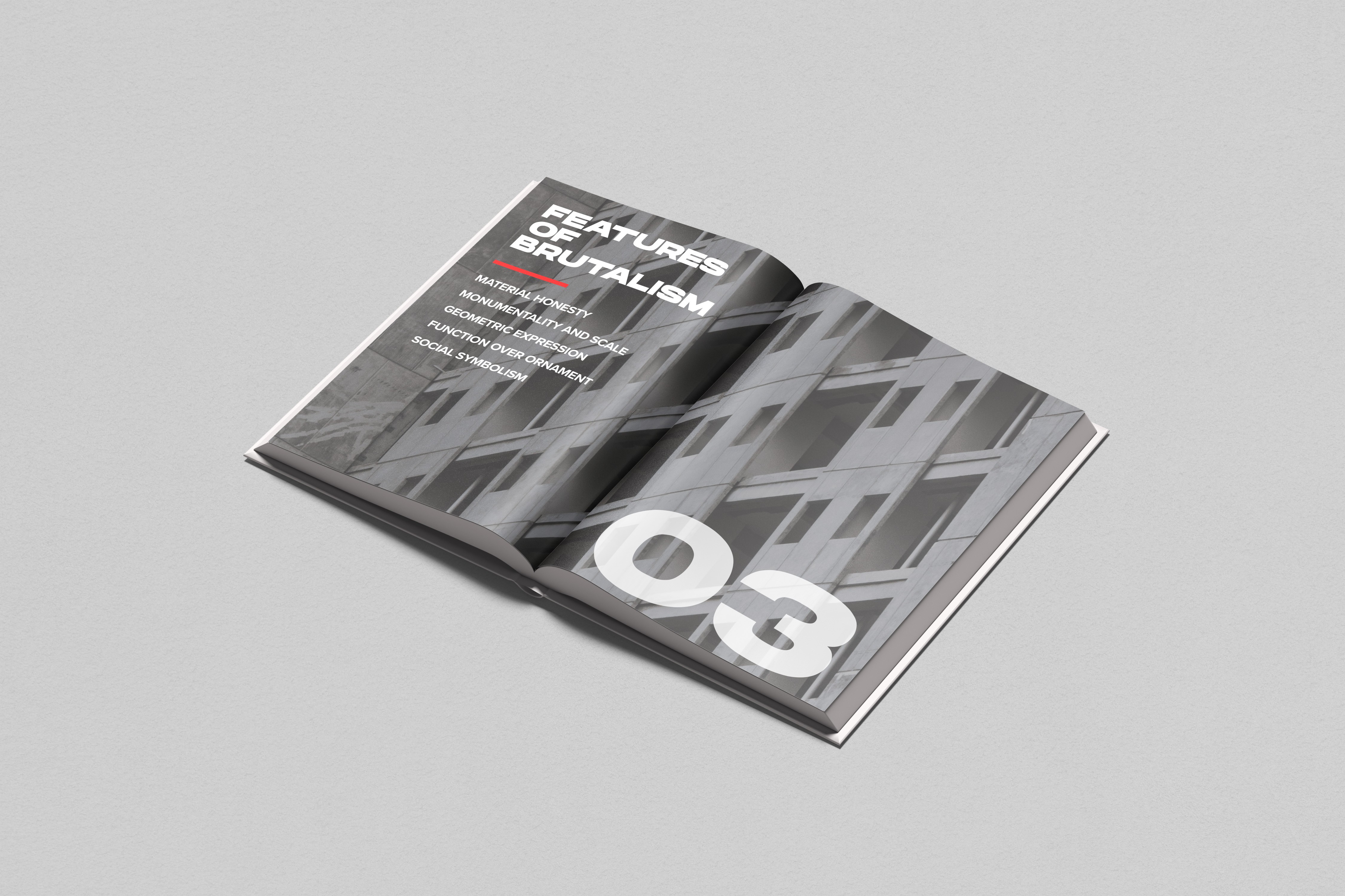 Project Gallery Image for 50% width of the screen #2