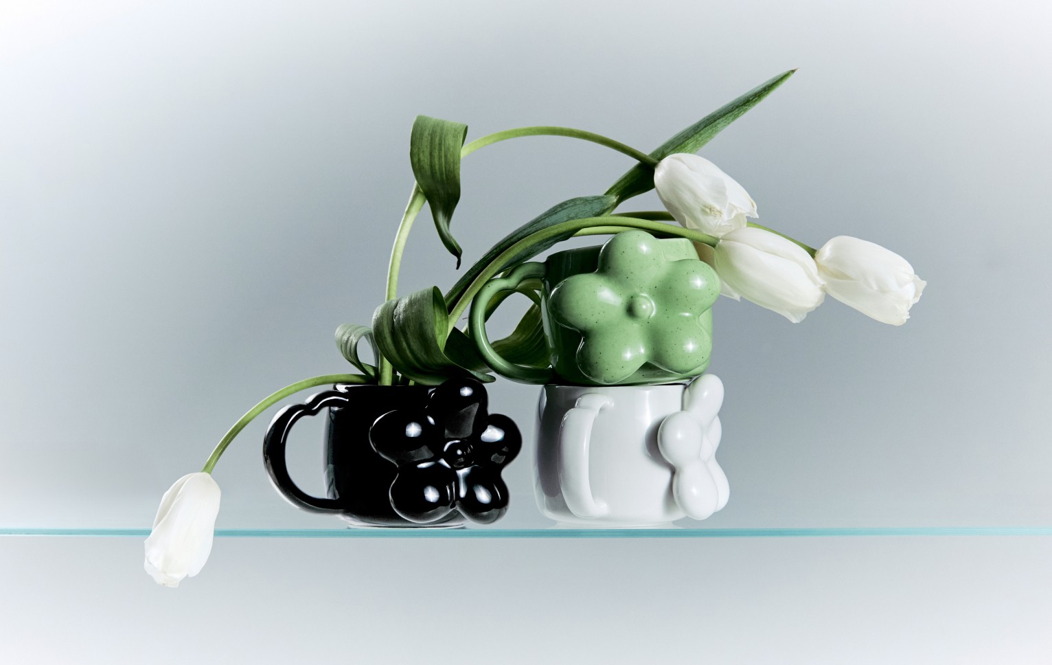 주식회사 모호, 브랜드 리이제