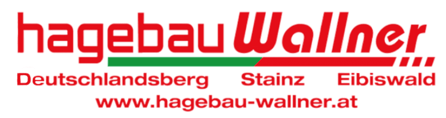 noeGIG Logo