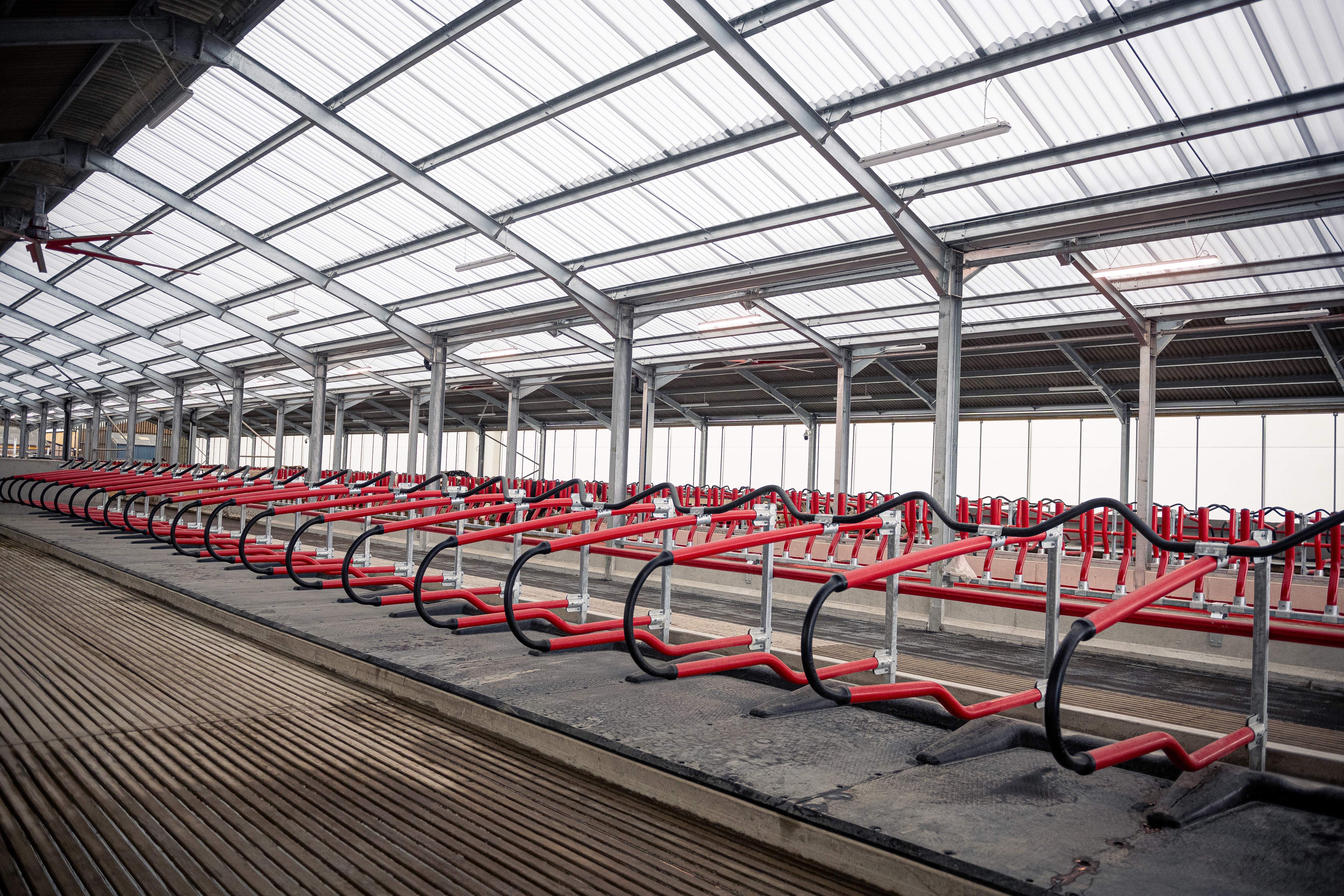 Červeno-čierne flexibilné boxy na ustajnenie dobytka značky EasyFix v modernej presvetlenej maštali.