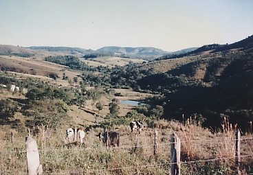 Vale em 1979 com pasto seco, gado junto à cerca de arame e morros com pouca vegetação