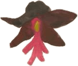 Decorative Graphic