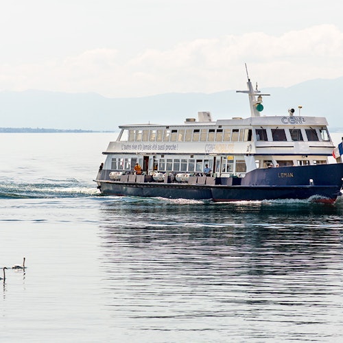 一艘名叫「Léman」的大渡輪在平靜的水面上航行,遠處有山,附近有鴨子在游泳。