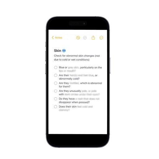 Mobile Mockup of checklist