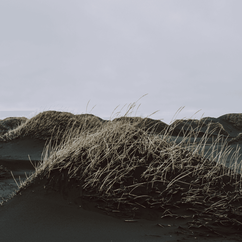 Luxury suite at Black Sand Hotel with sea view and modern Nordic décor.