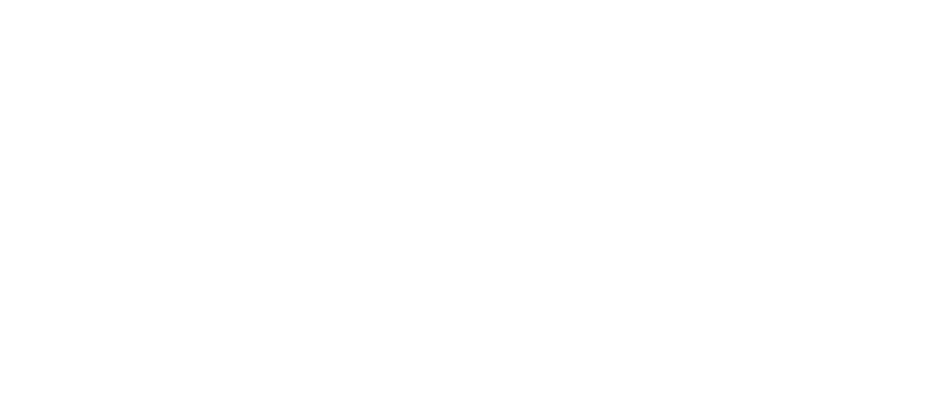 Lightspeed logo