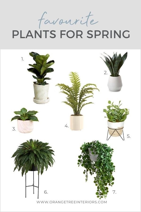 Spring Decorating with Plants 2022
