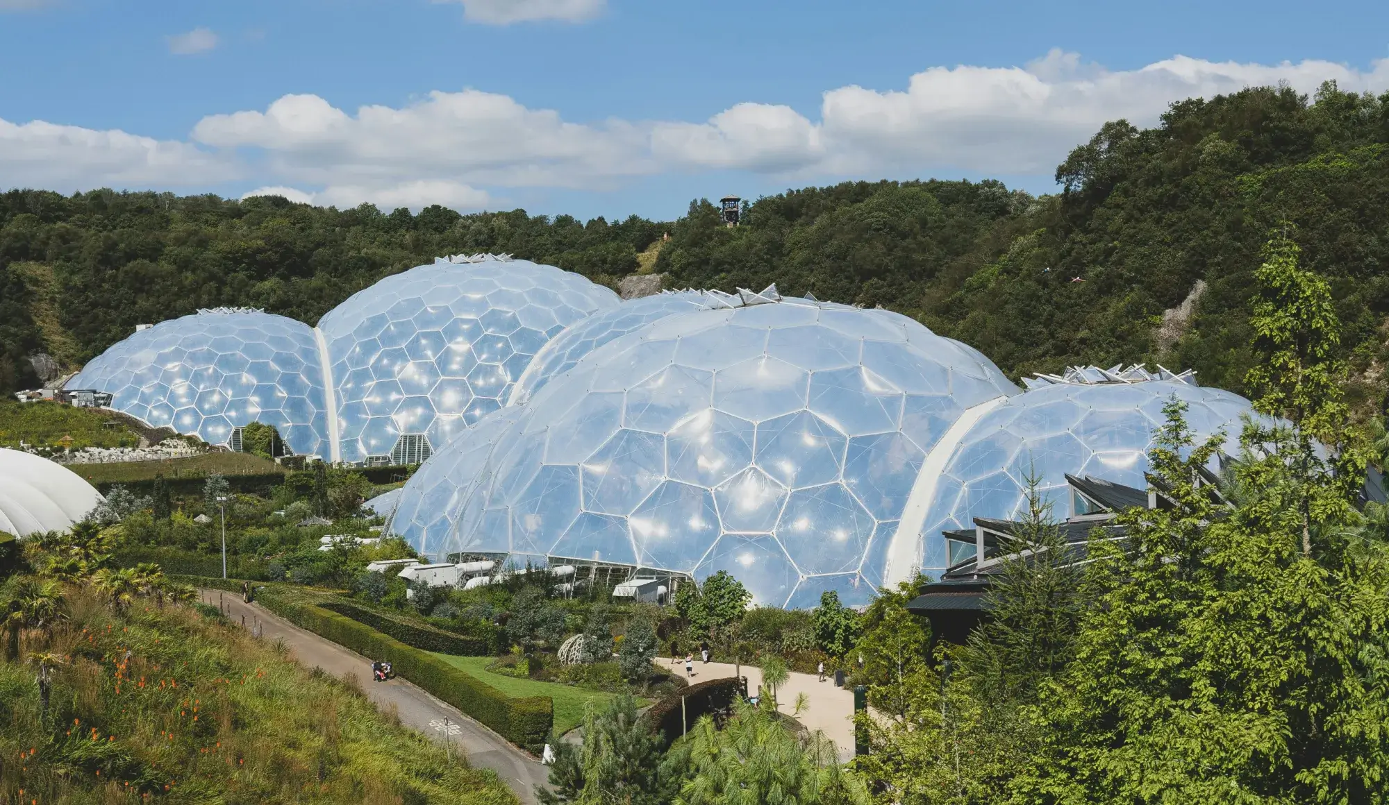 white round ball on green grass field under blue sky during daytime