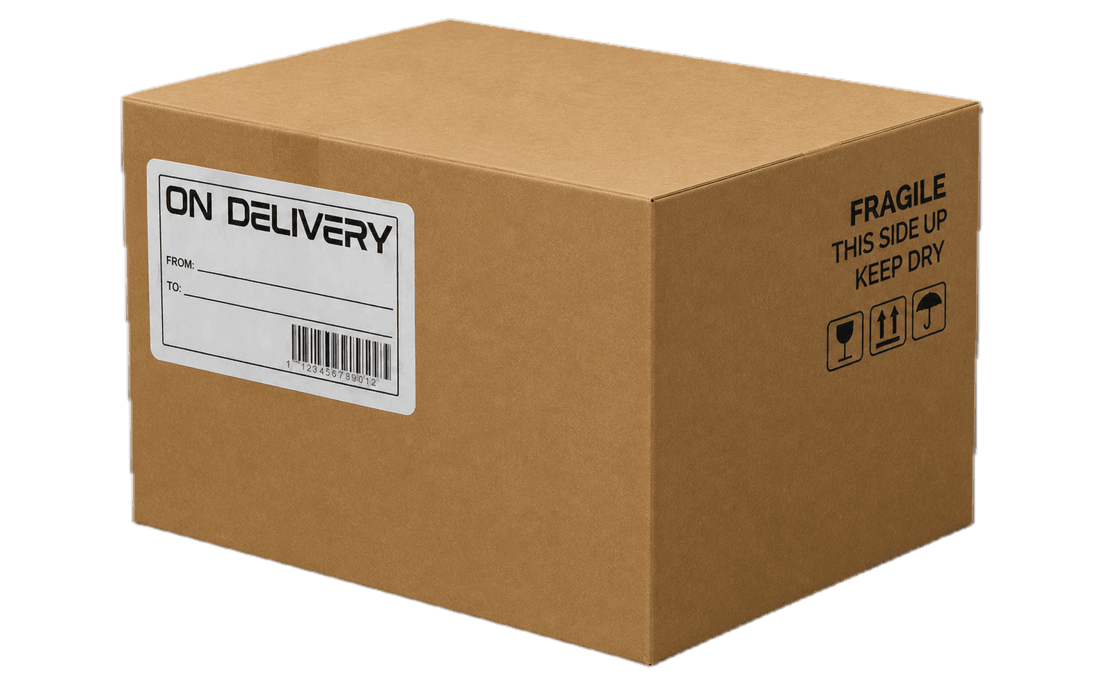 Cardboard Delivery Box