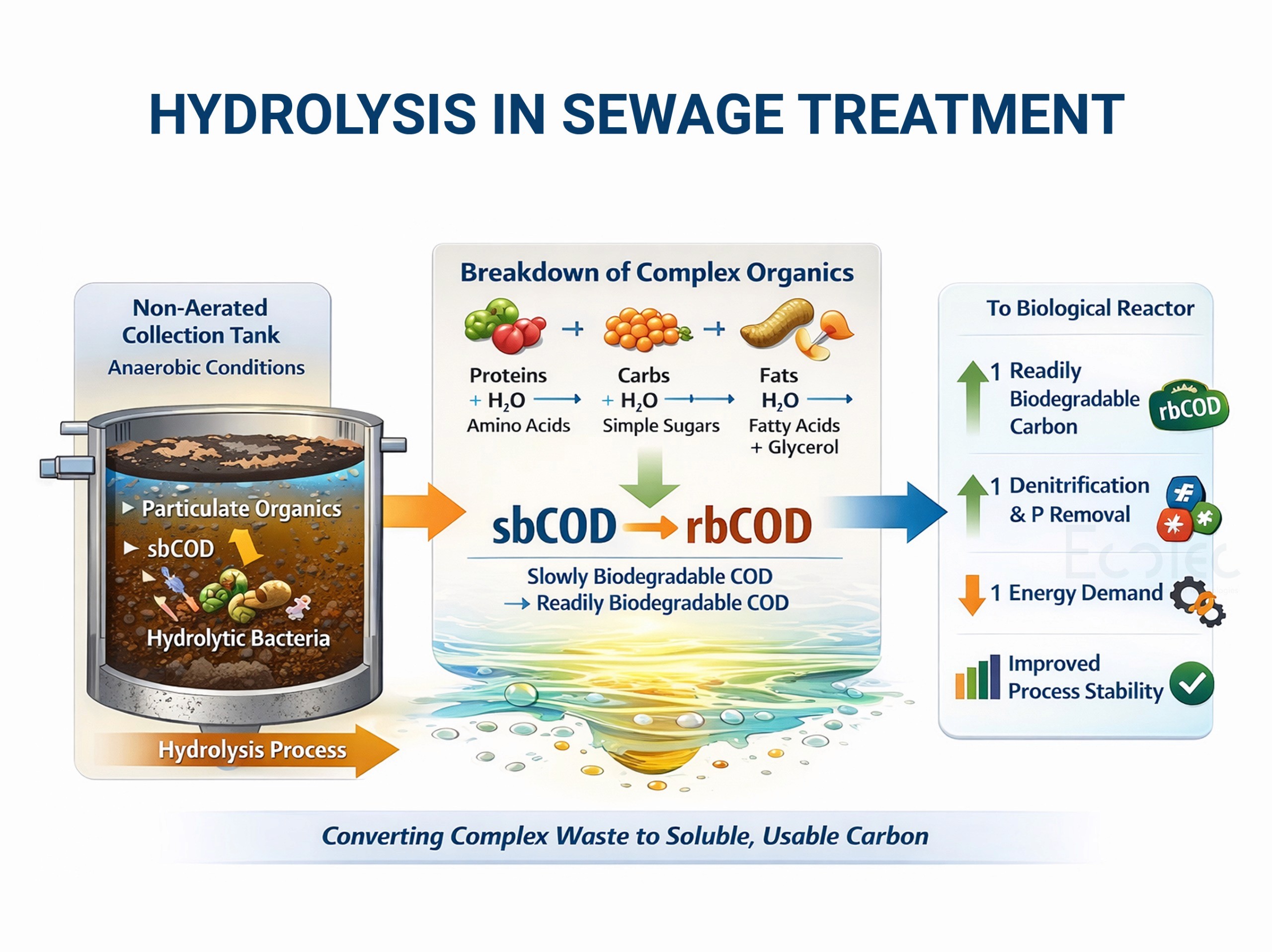 Hydrolysis process in sewage treatment showing breakdown of complex organic matter under anaerobic conditions, converting particulate COD (sbCOD) into readily biodegradable COD (rbCOD) to improve biological treatment, denitrification, phosphorus removal, and process stability.